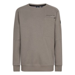 Sweater Cut & Sew Fancy grey sand