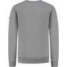 Junior Slim fit Sweaters Crewneck LS grey