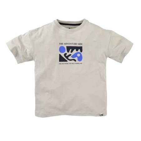 Arlo t-shirt silver shadow